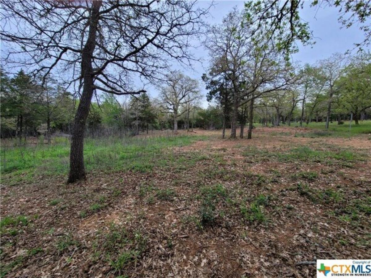 Picture of Residential Land For Sale in Cedar Creek, Texas, United States