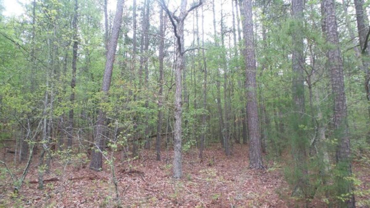 Picture of Residential Land For Sale in Tignall, Georgia, United States