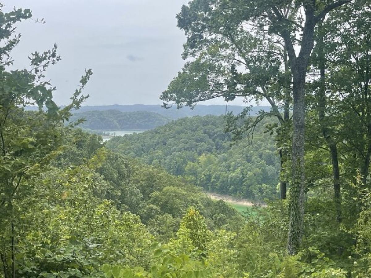 Picture of Residential Land For Sale in Monticello, Kentucky, United States