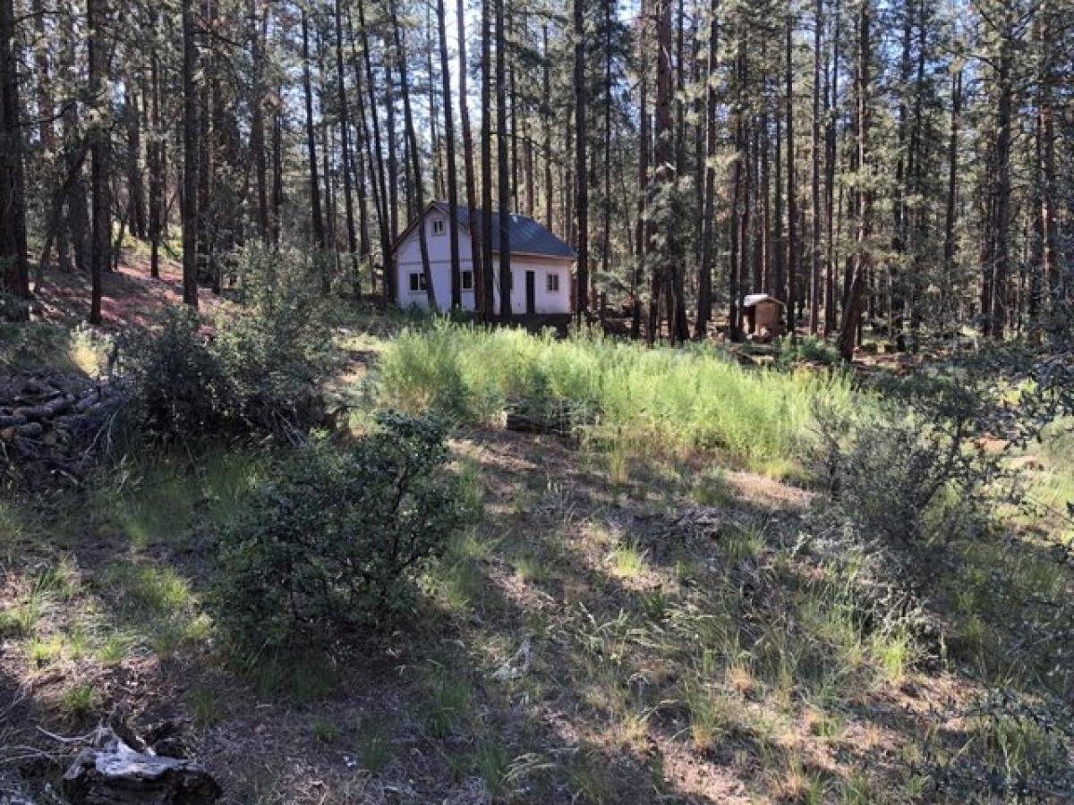 Picture of Residential Land For Sale in Bonanza, Oregon, United States