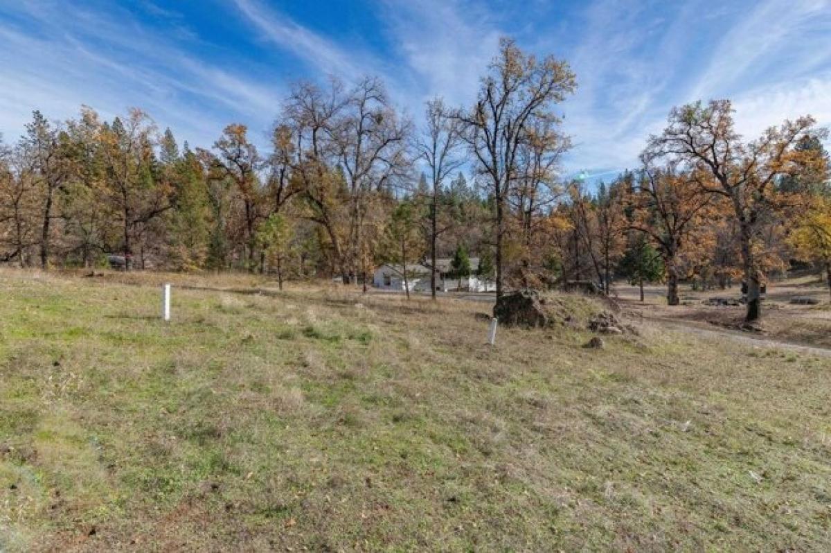 Picture of Residential Land For Sale in Pioneer, California, United States