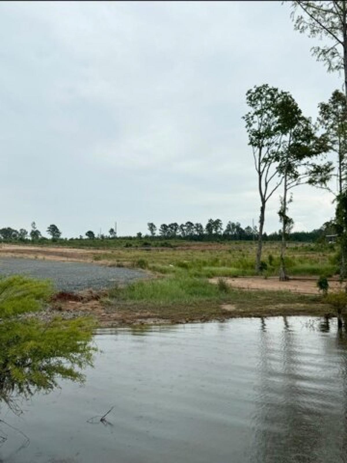 Picture of Residential Land For Sale in Florien, Louisiana, United States