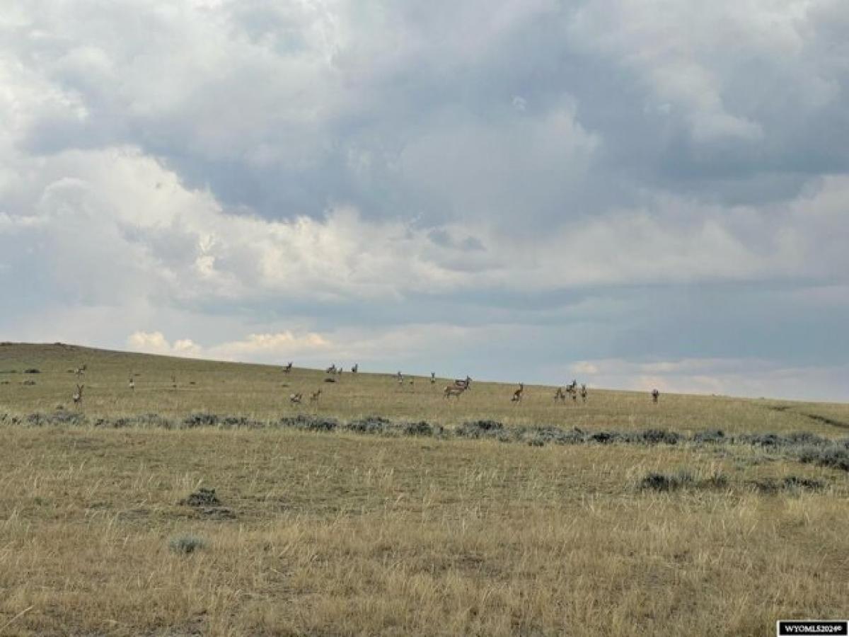 Picture of Residential Land For Sale in Casper, Wyoming, United States