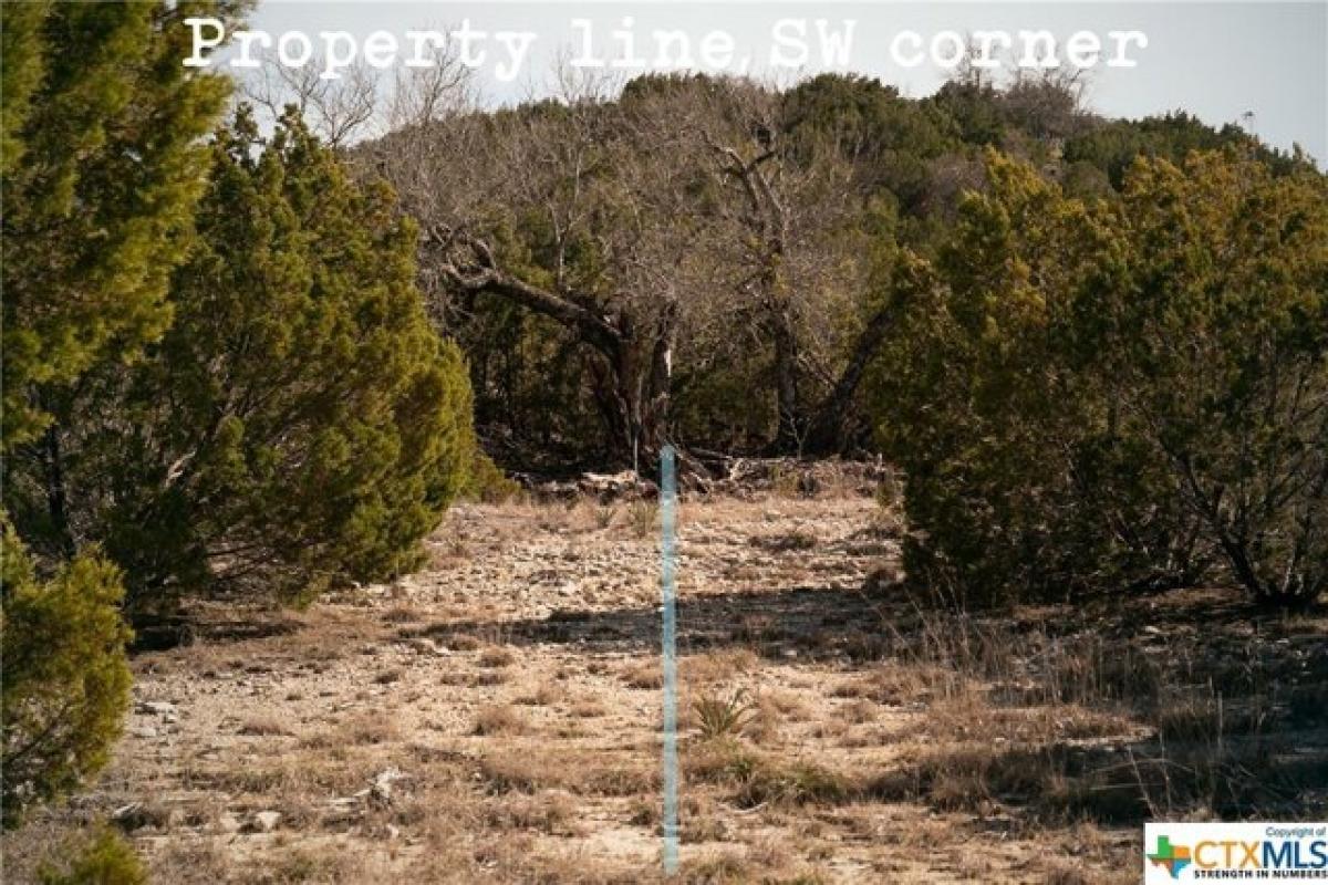 Picture of Residential Land For Sale in Lometa, Texas, United States