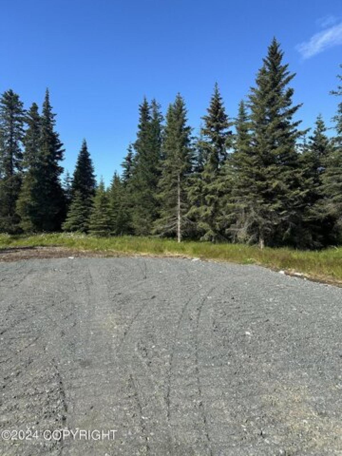 Picture of Residential Land For Sale in Anchor Point, Alaska, United States