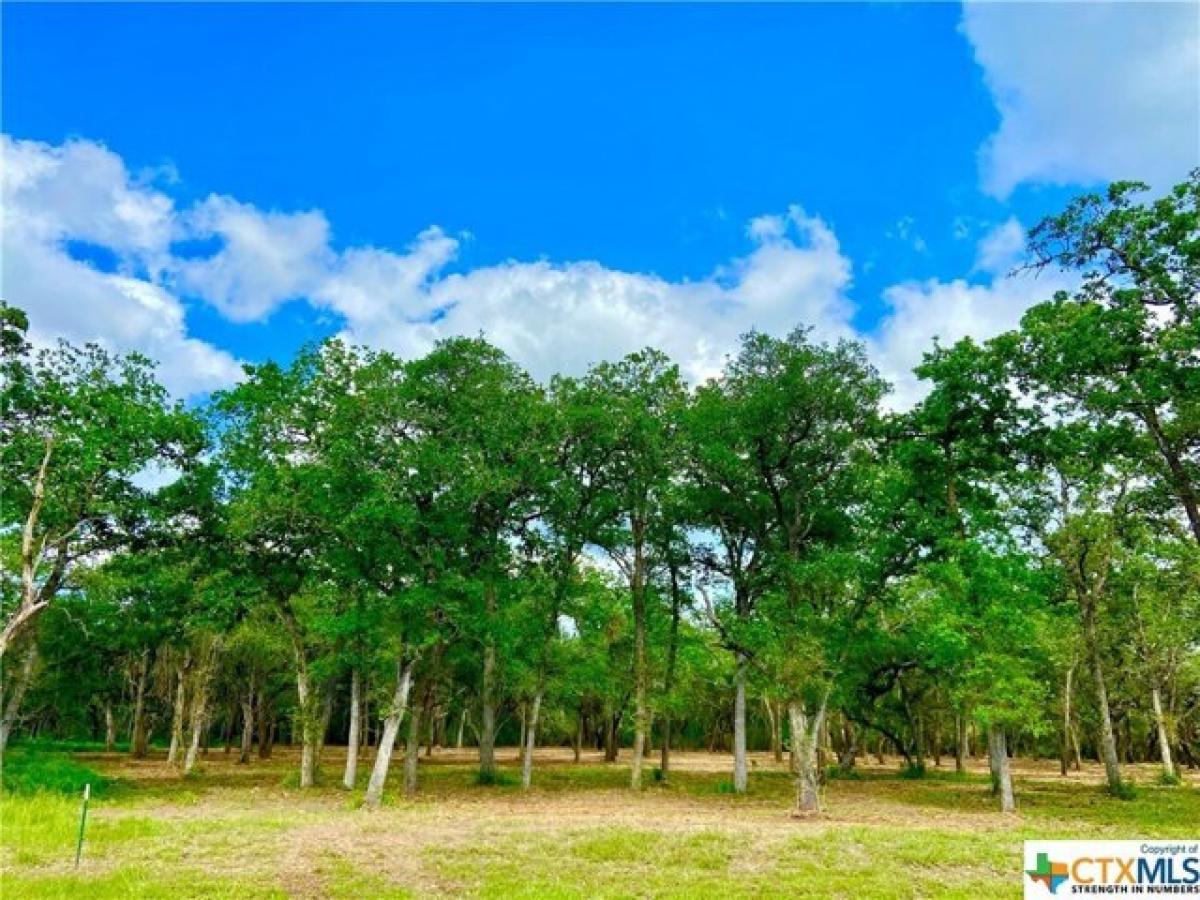 Picture of Residential Land For Sale in Inez, Texas, United States