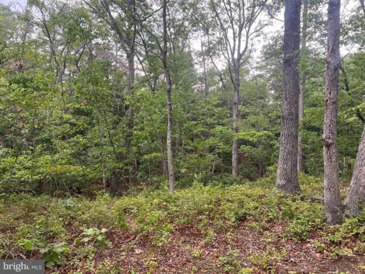 Picture of Residential Land For Sale in Middletown, Virginia, United States