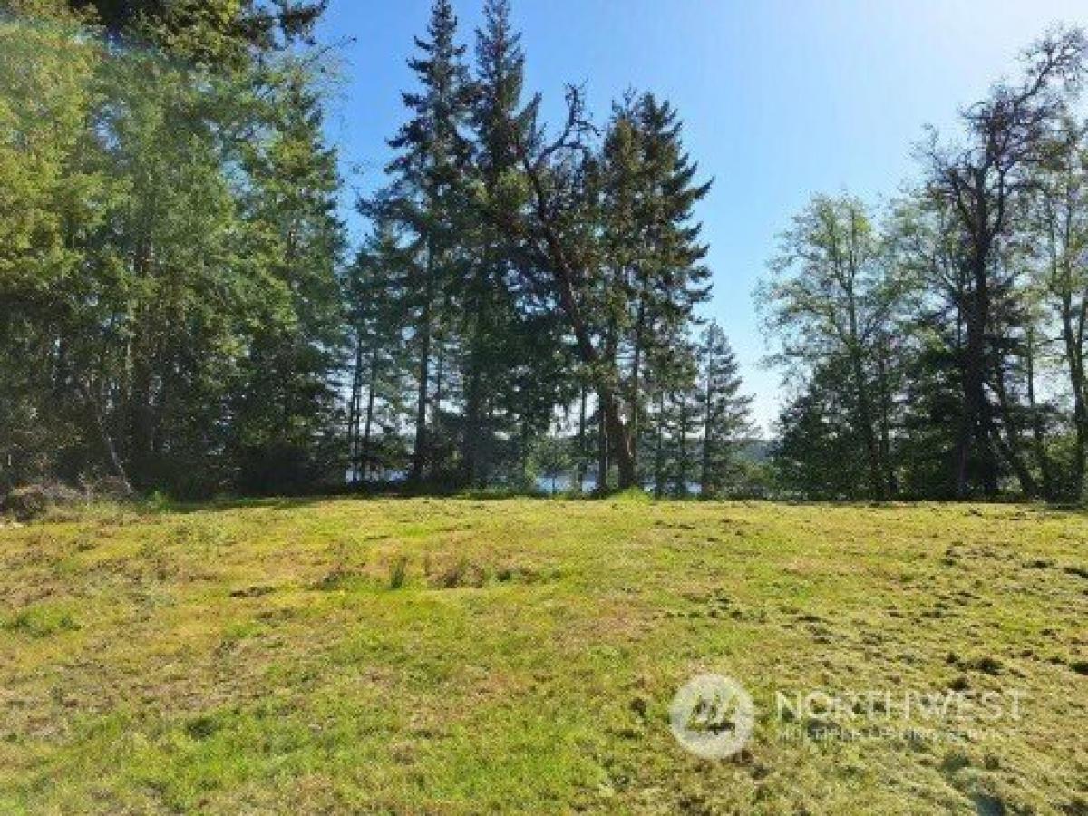 Picture of Residential Land For Sale in Steilacoom, Washington, United States