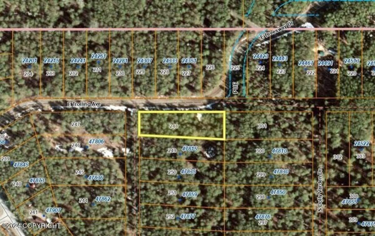 Picture of Residential Land For Sale in Willow, Alaska, United States