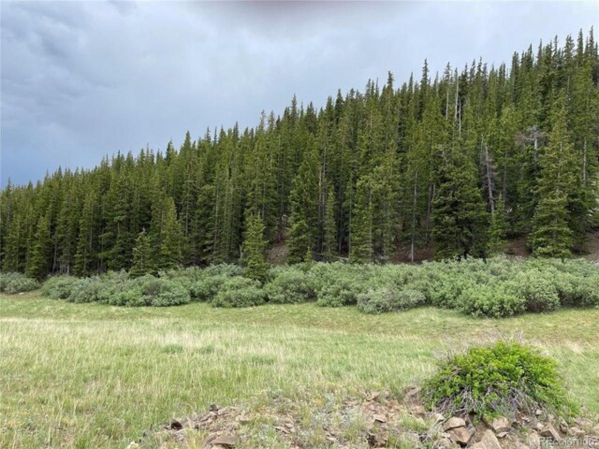 Picture of Residential Land For Sale in Alma, Colorado, United States