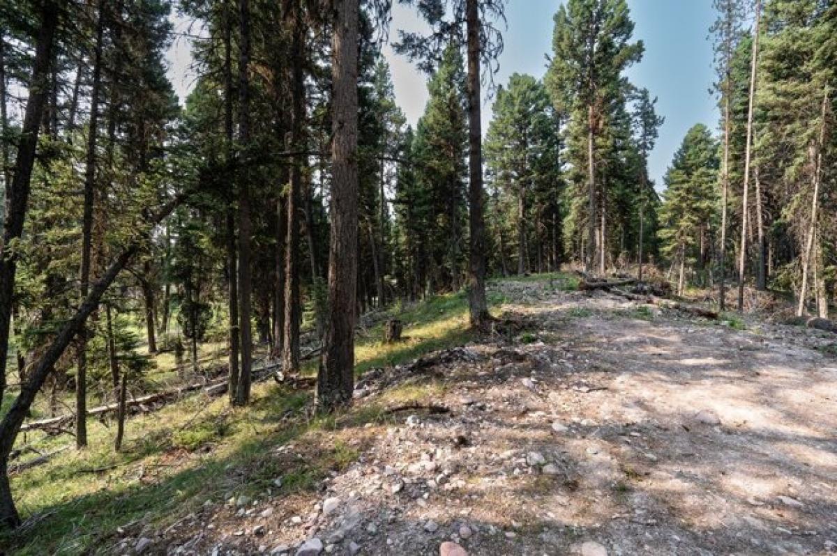 Picture of Residential Land For Sale in Seeley Lake, Montana, United States