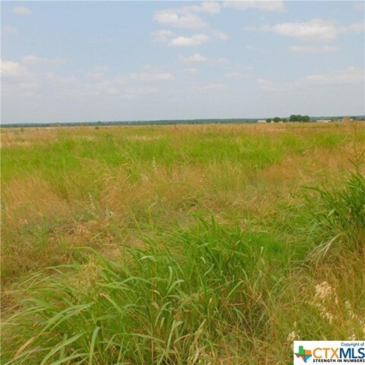 Picture of Residential Land For Sale in Coupland, Texas, United States