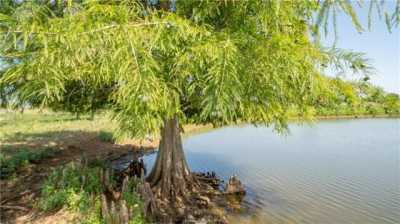 Residential Land For Sale in Caldwell, Texas