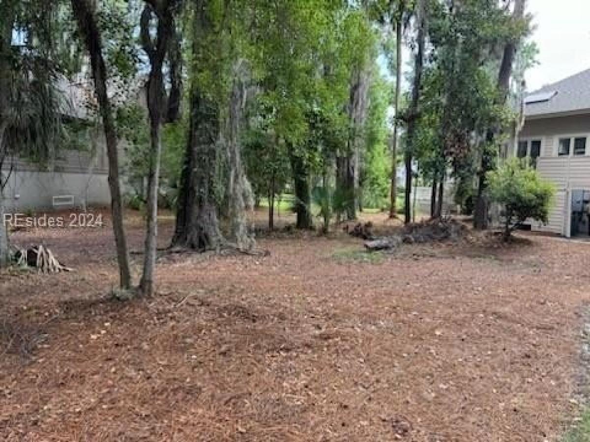 Picture of Residential Land For Sale in Hilton Head Island, South Carolina, United States