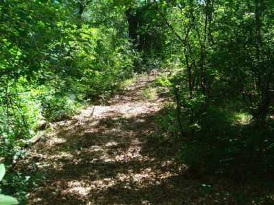 Residential Land For Sale in Wautoma, Wisconsin