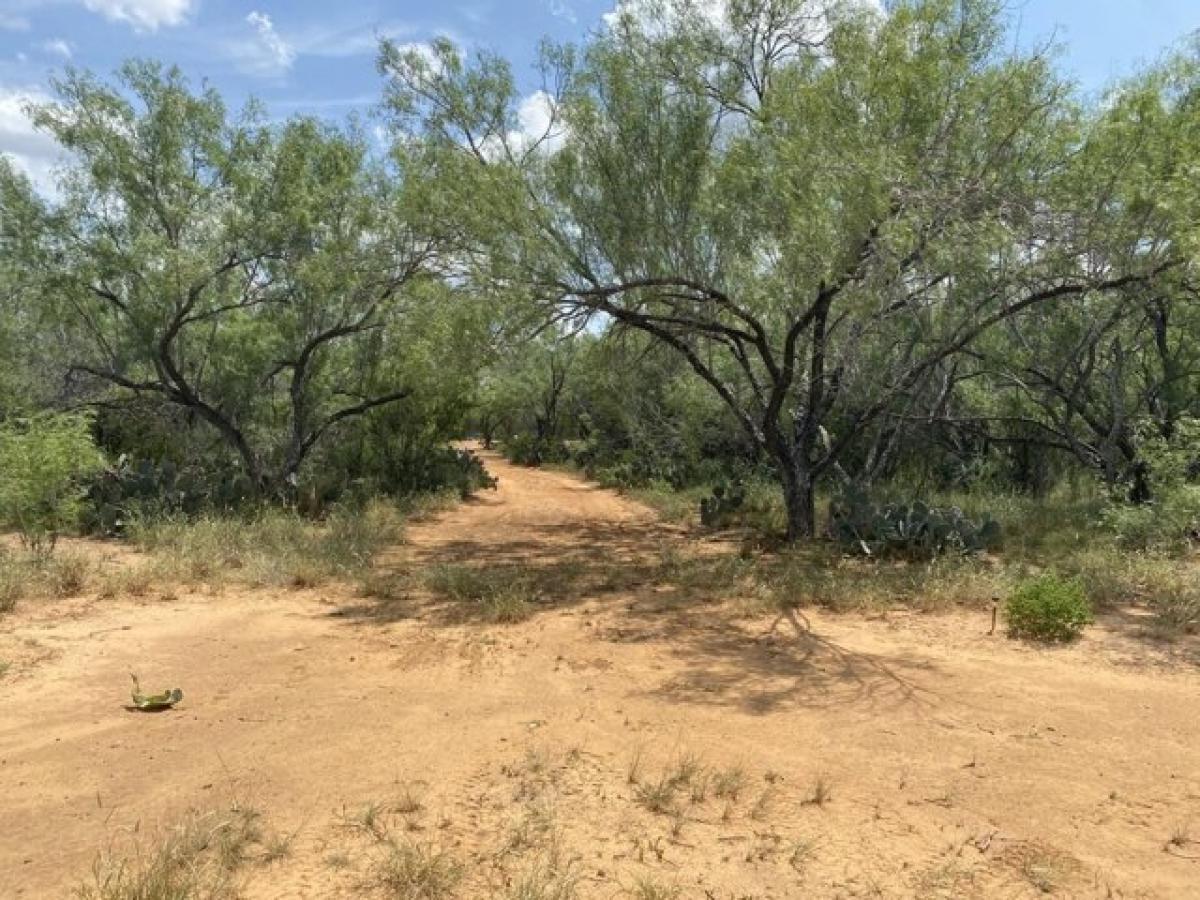 Picture of Residential Land For Sale in Cotulla, Texas, United States