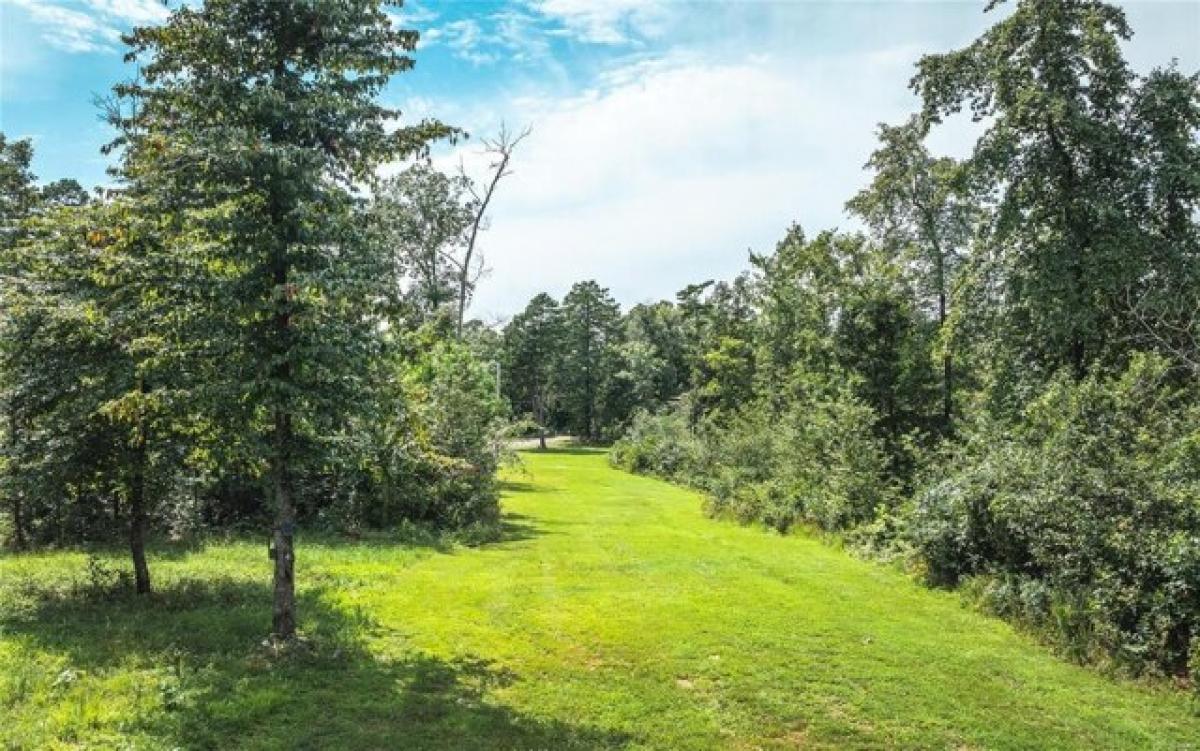 Picture of Residential Land For Sale in Van Buren, Missouri, United States