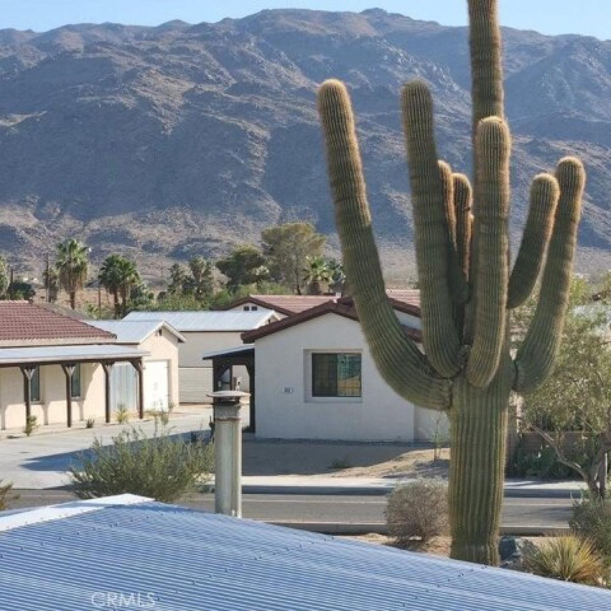 Picture of Apartment For Rent in Twentynine Palms, California, United States