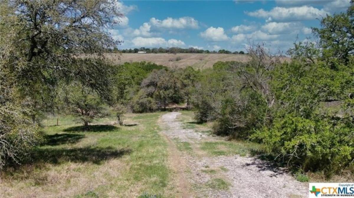 Picture of Residential Land For Sale in Seguin, Texas, United States