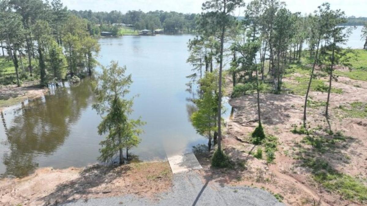 Picture of Residential Land For Sale in Florien, Louisiana, United States