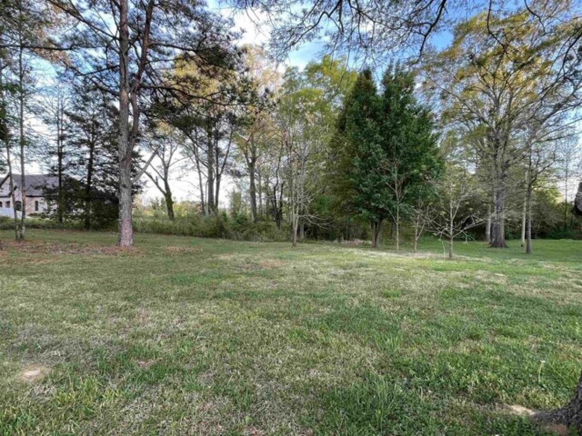 Picture of Residential Land For Sale in Cullman, Alabama, United States