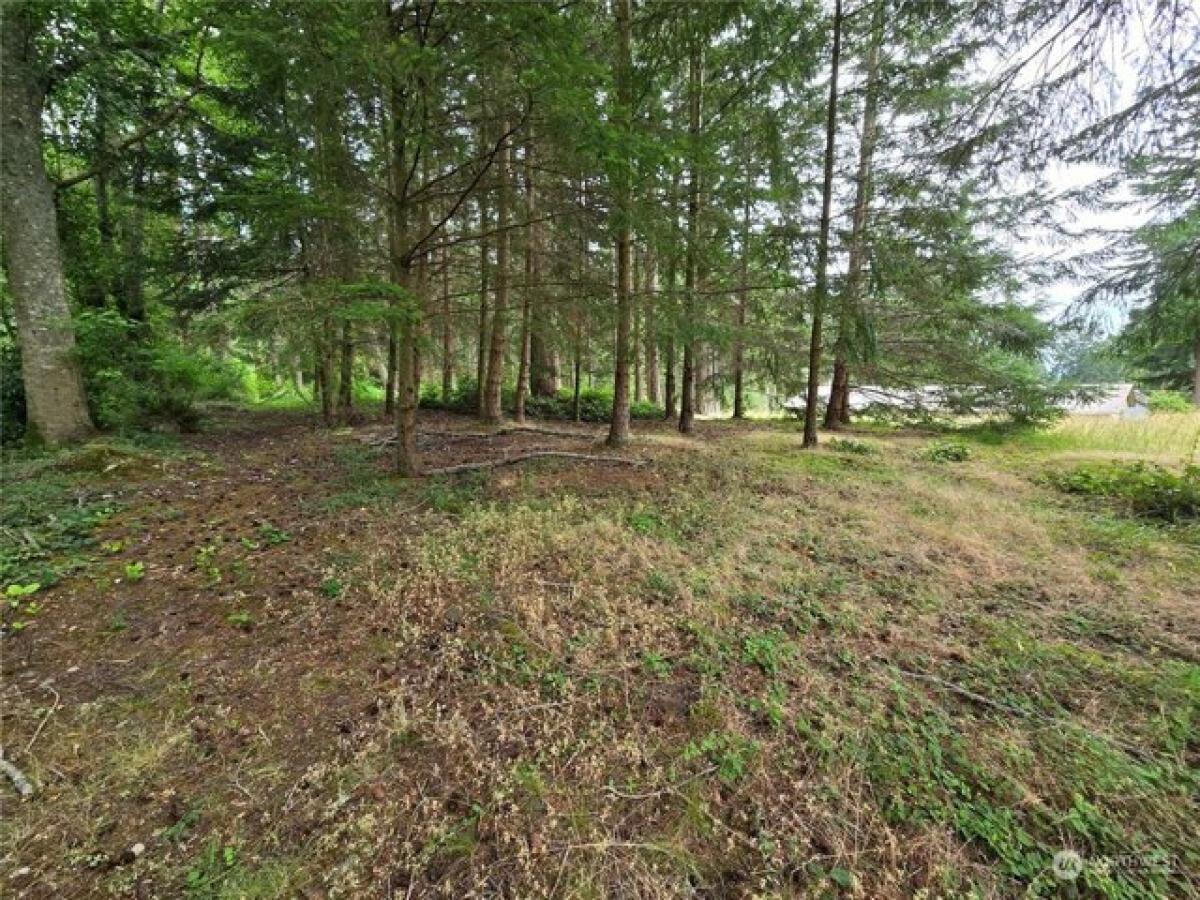 Picture of Residential Land For Sale in Oak Harbor, Washington, United States