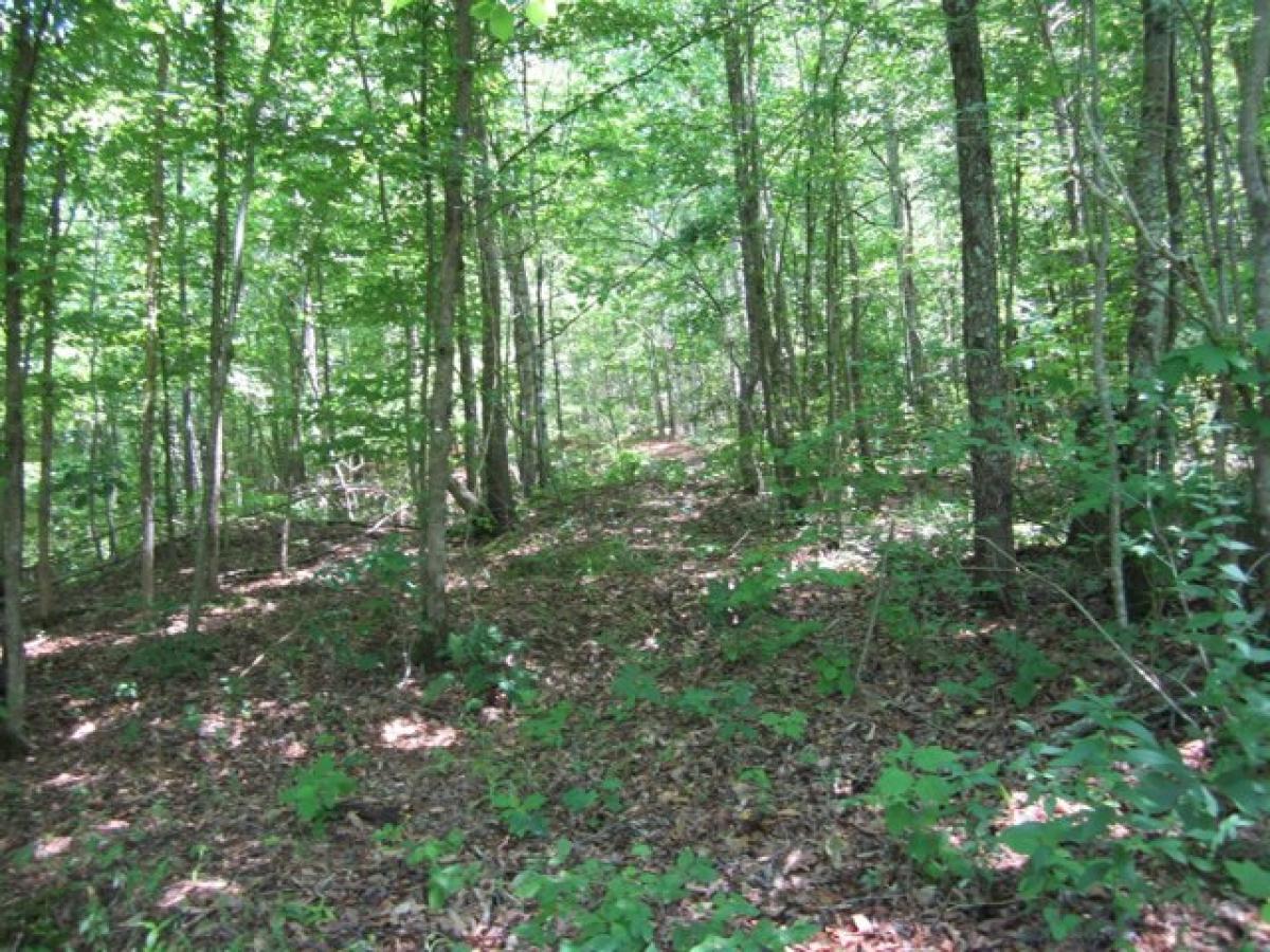 Picture of Residential Land For Sale in Hickory Flat, Mississippi, United States