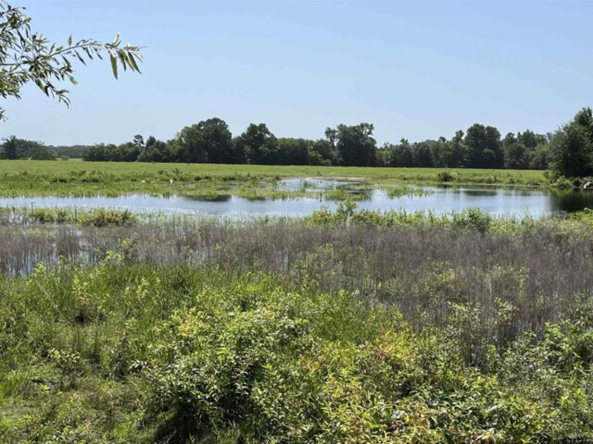 Picture of Residential Land For Sale in Mineola, Texas, United States