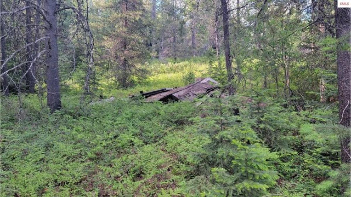 Picture of Residential Land For Sale in Priest River, Idaho, United States