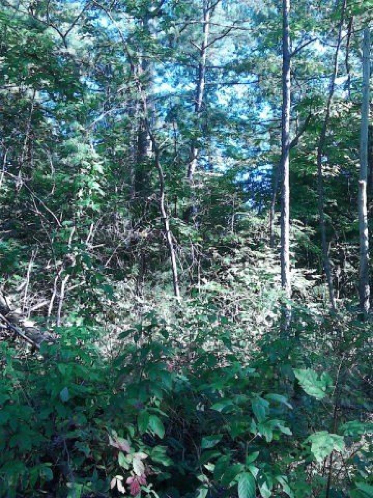 Picture of Residential Land For Sale in Crawford, Tennessee, United States