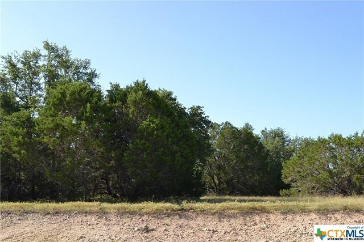 Picture of Residential Land For Sale in Kempner, Texas, United States