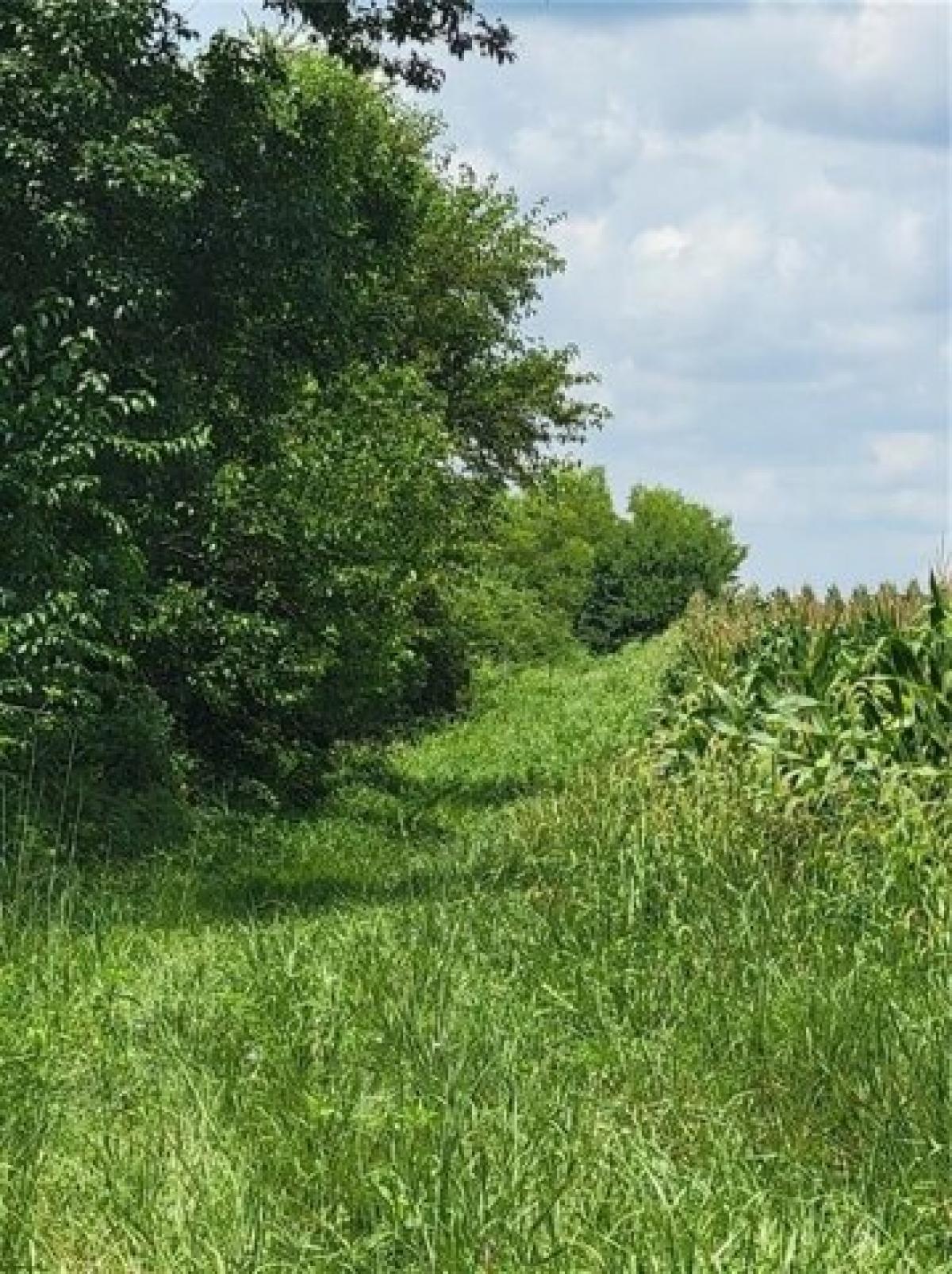 Picture of Residential Land For Sale in Princeton, Kansas, United States