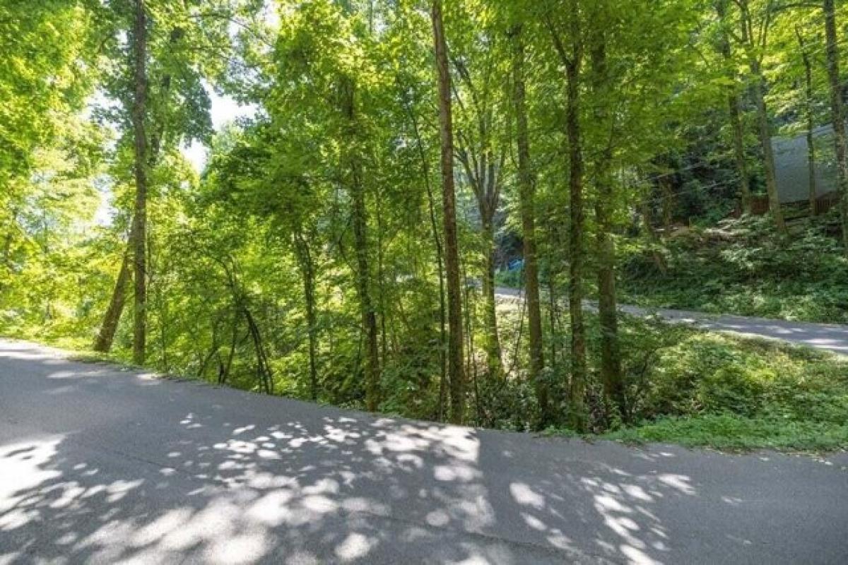 Picture of Residential Land For Sale in Gatlinburg, Tennessee, United States