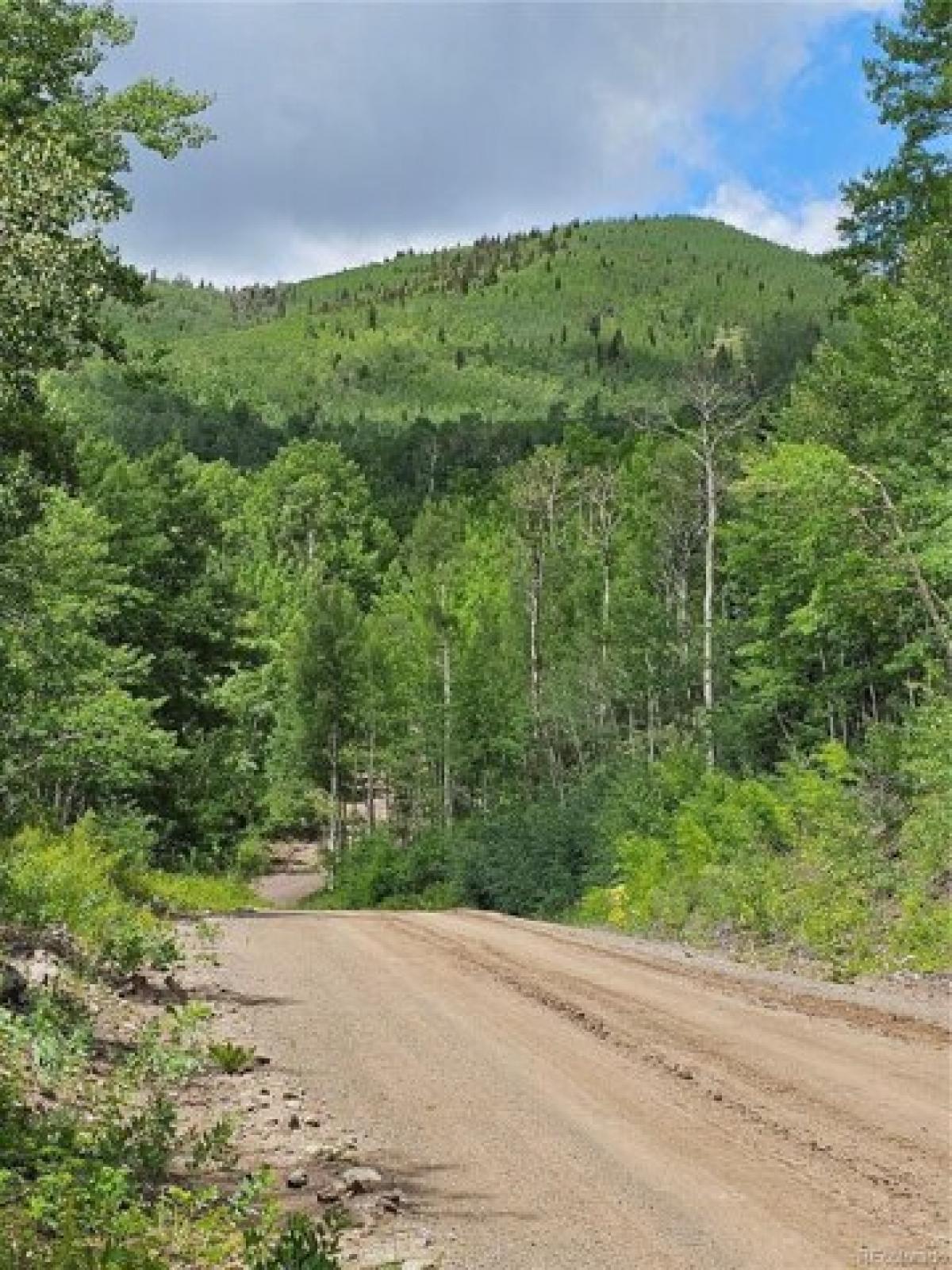 Picture of Residential Land For Sale in Fort Garland, Colorado, United States