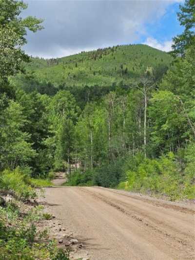 Residential Land For Sale in Fort Garland, Colorado