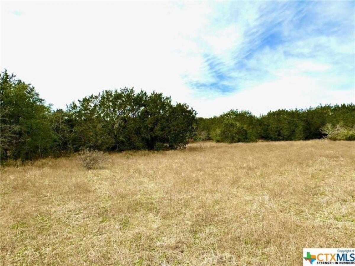 Picture of Residential Land For Sale in Gatesville, Texas, United States