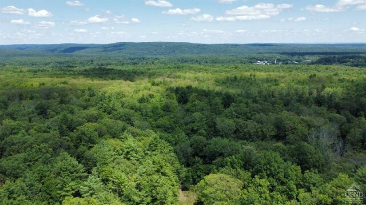 Picture of Residential Land For Sale in Cairo, New York, United States