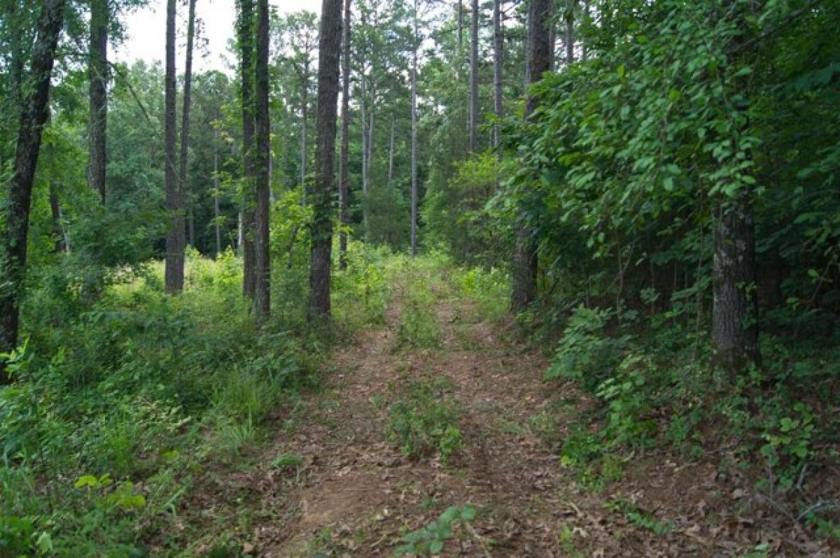 Picture of Residential Land For Sale in Paragould, Arkansas, United States