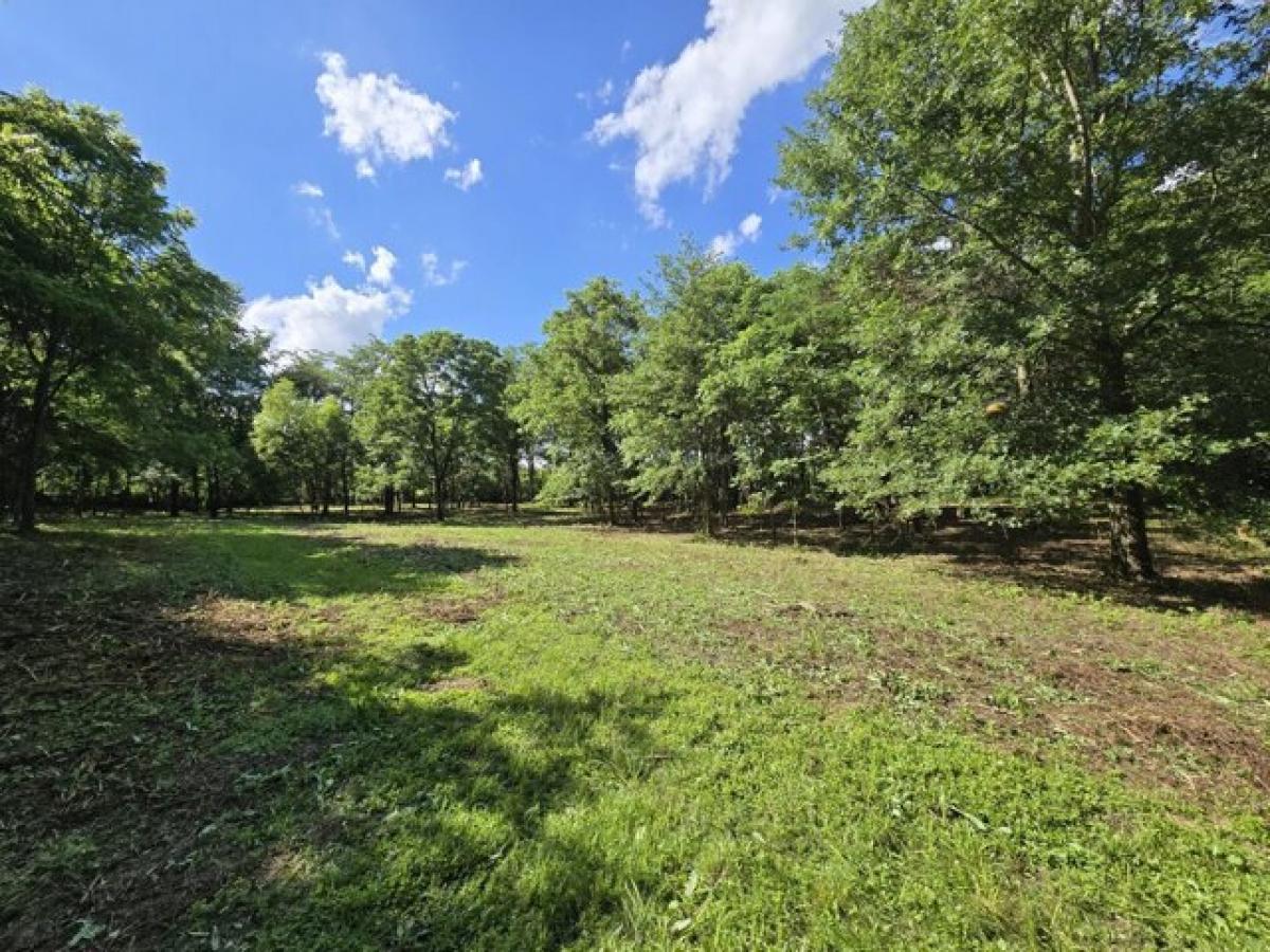 Picture of Home For Sale in Ostrander, Ohio, United States