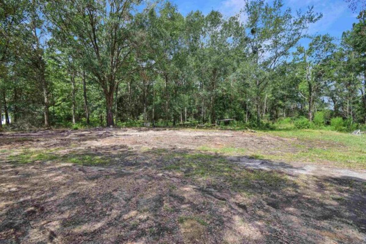 Picture of Residential Land For Sale in Buna, Texas, United States