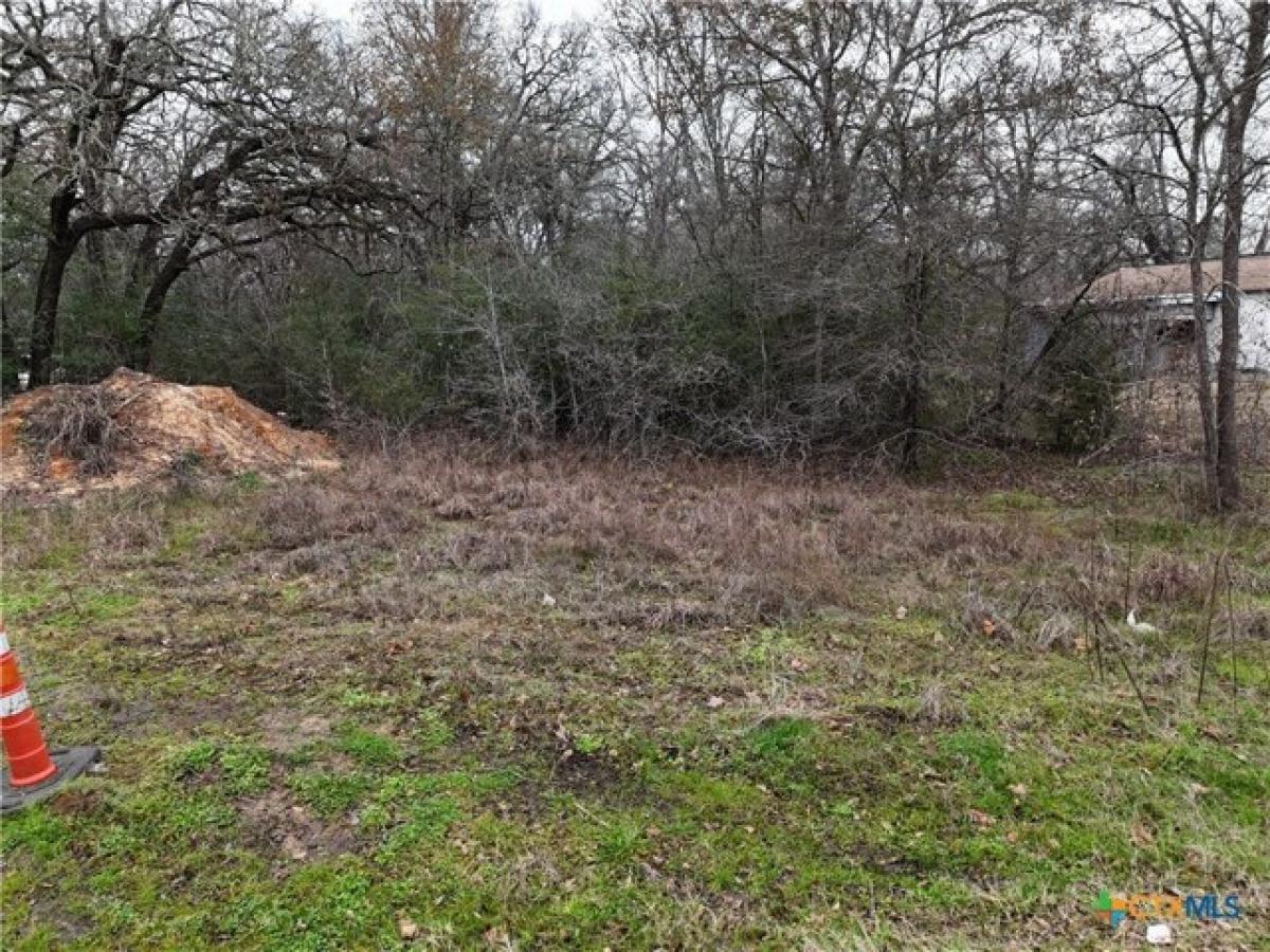 Picture of Residential Land For Sale in Rockdale, Texas, United States