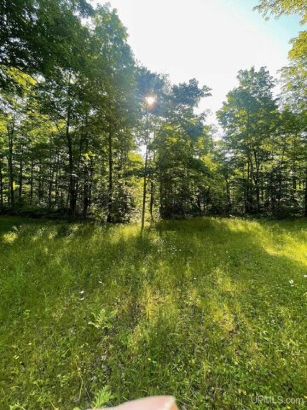 Picture of Residential Land For Sale in Lake Linden, Michigan, United States