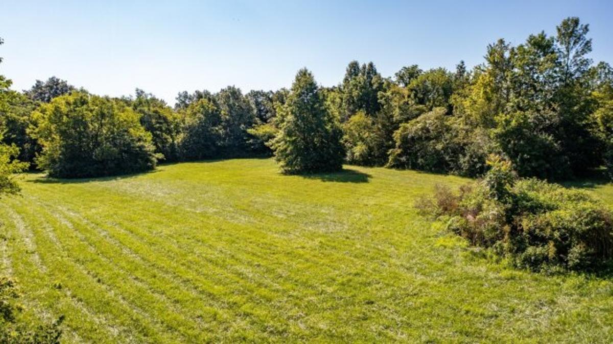 Picture of Residential Land For Sale in Litchfield, Illinois, United States