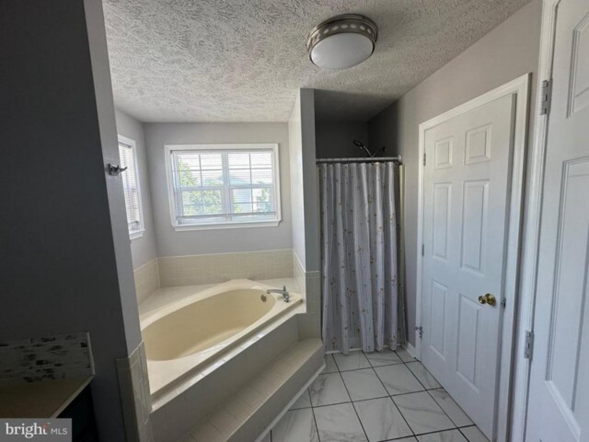 Picture of Home For Rent in Severn, Maryland, United States