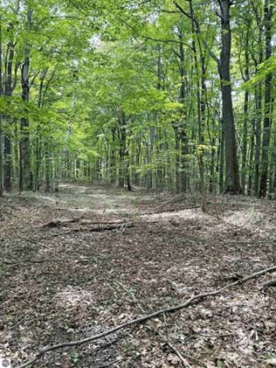 Residential Land For Sale in Frankfort, Michigan