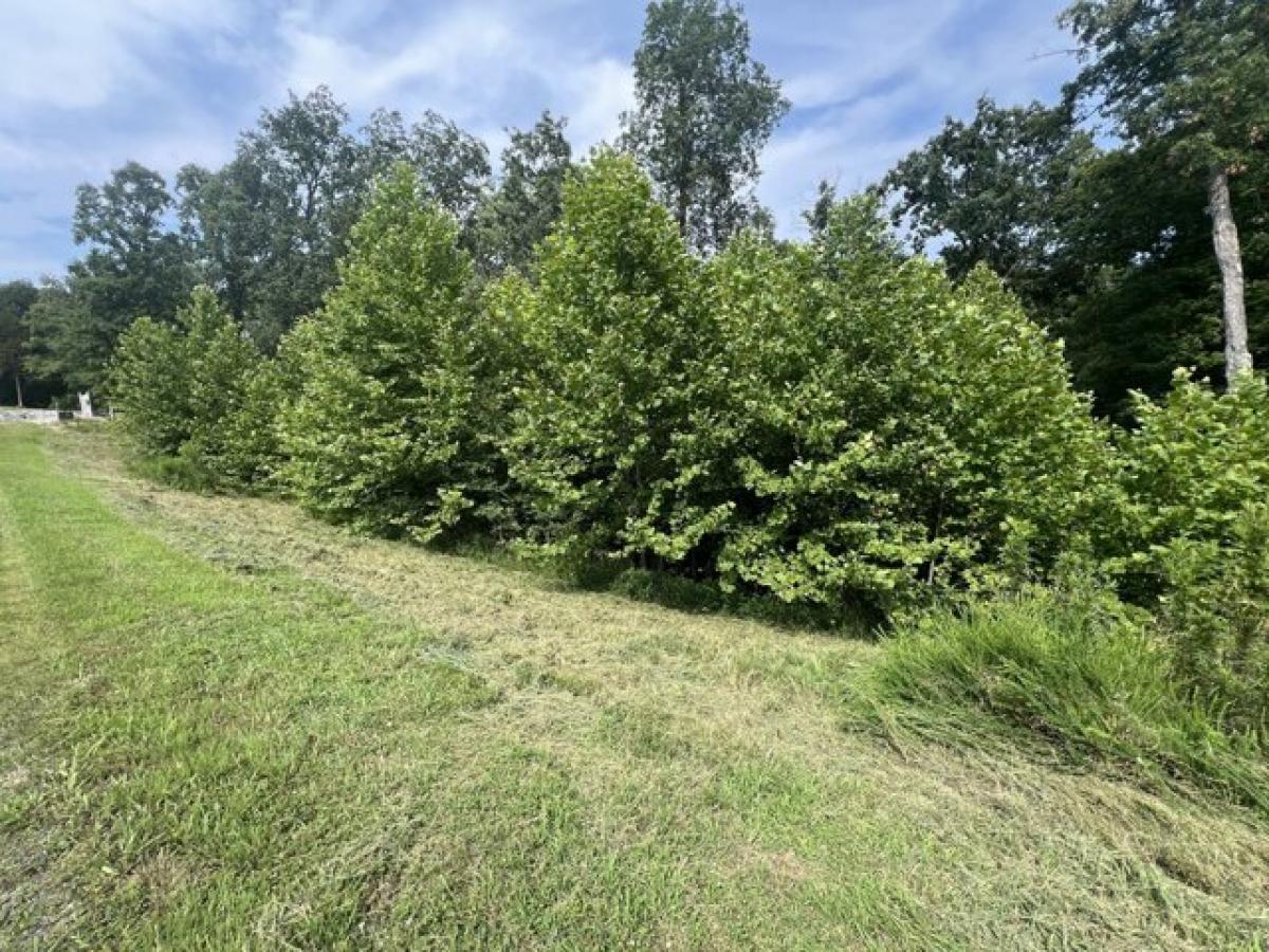 Picture of Residential Land For Sale in Goreville, Illinois, United States