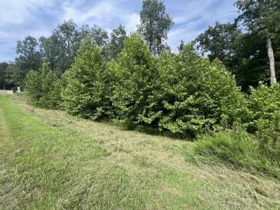 Residential Land For Sale in Goreville, Illinois