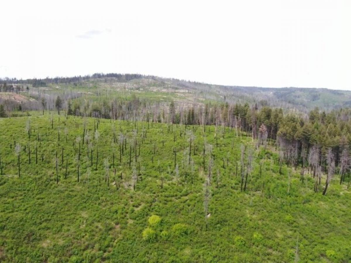 Picture of Residential Land For Sale in Kettle Falls, Washington, United States