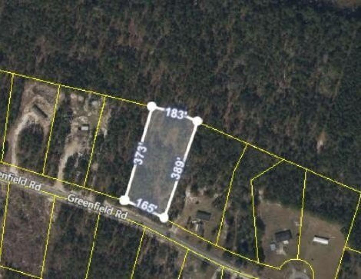 Picture of Residential Land For Sale in Blackshear, Georgia, United States