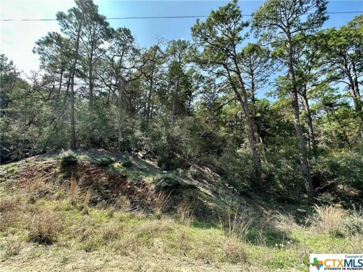 Picture of Residential Land For Sale in Bastrop, Texas, United States